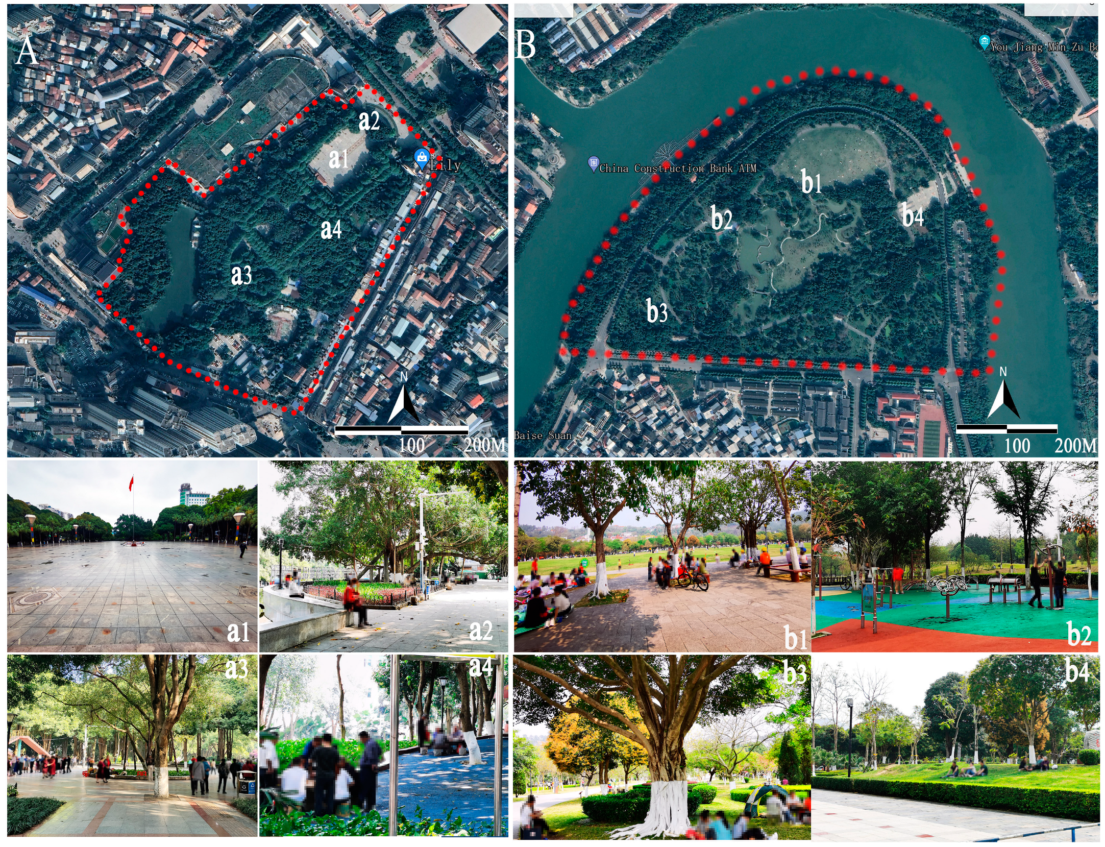 Societies 14 00168 g001