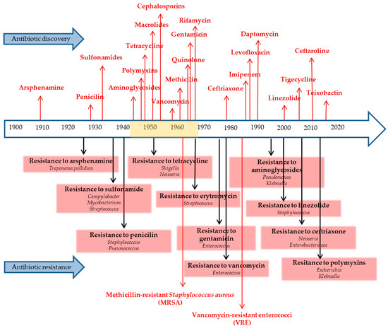 Antimicrobial Resistance: The Impact from and on Society