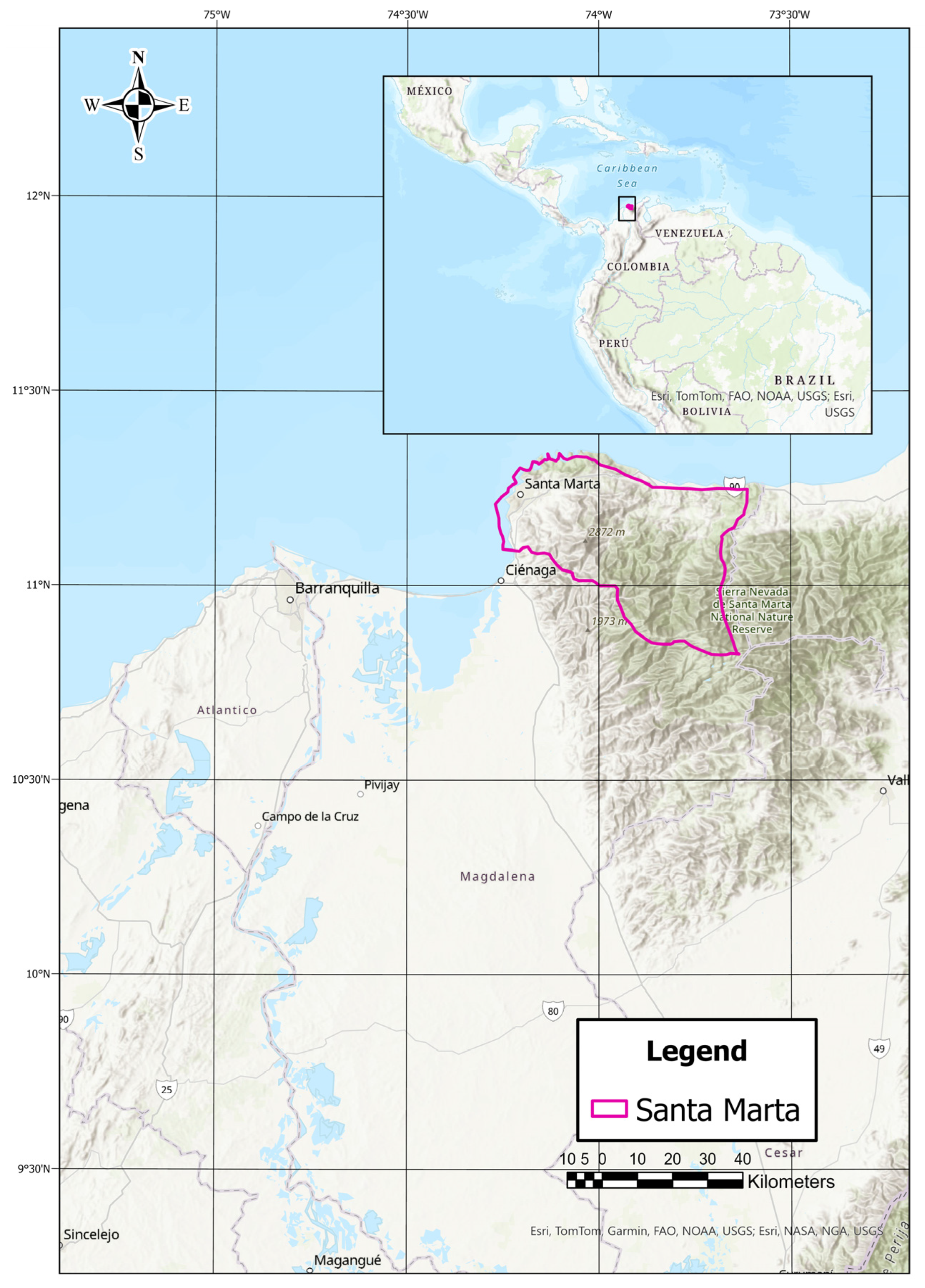 Societies 14 00201 g001