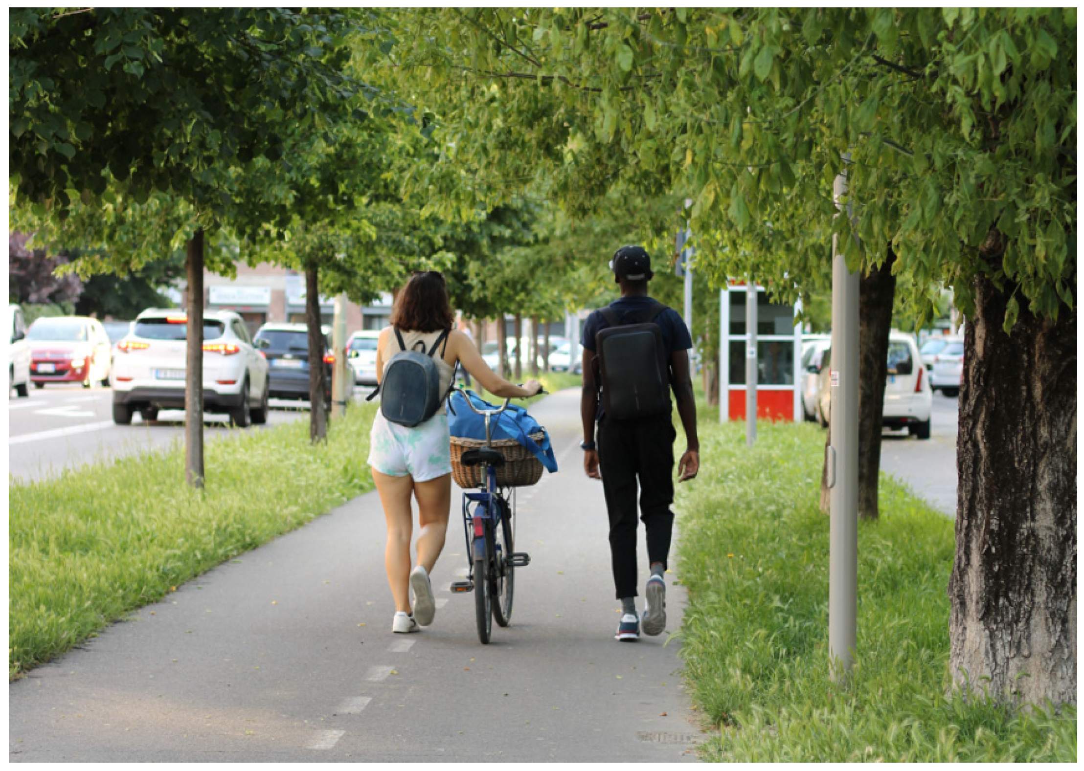 Societies 14 00212 g001