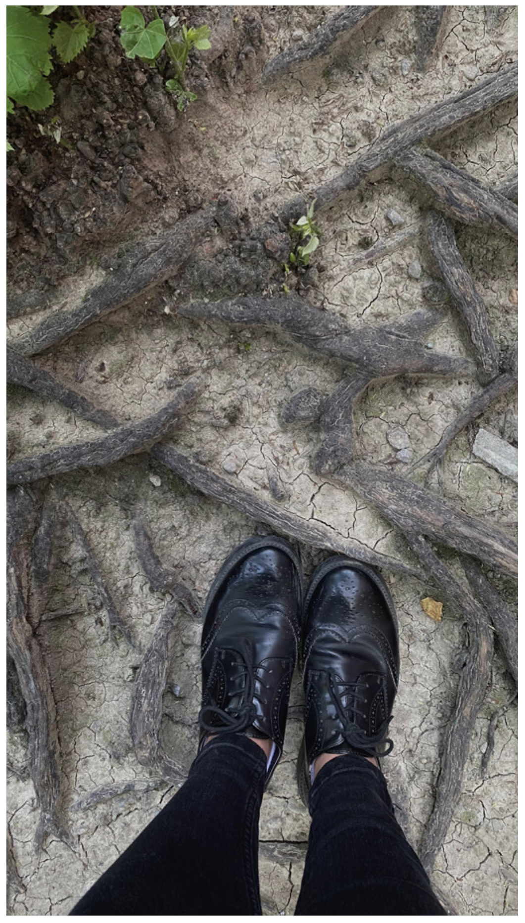 Societies 14 00212 g011