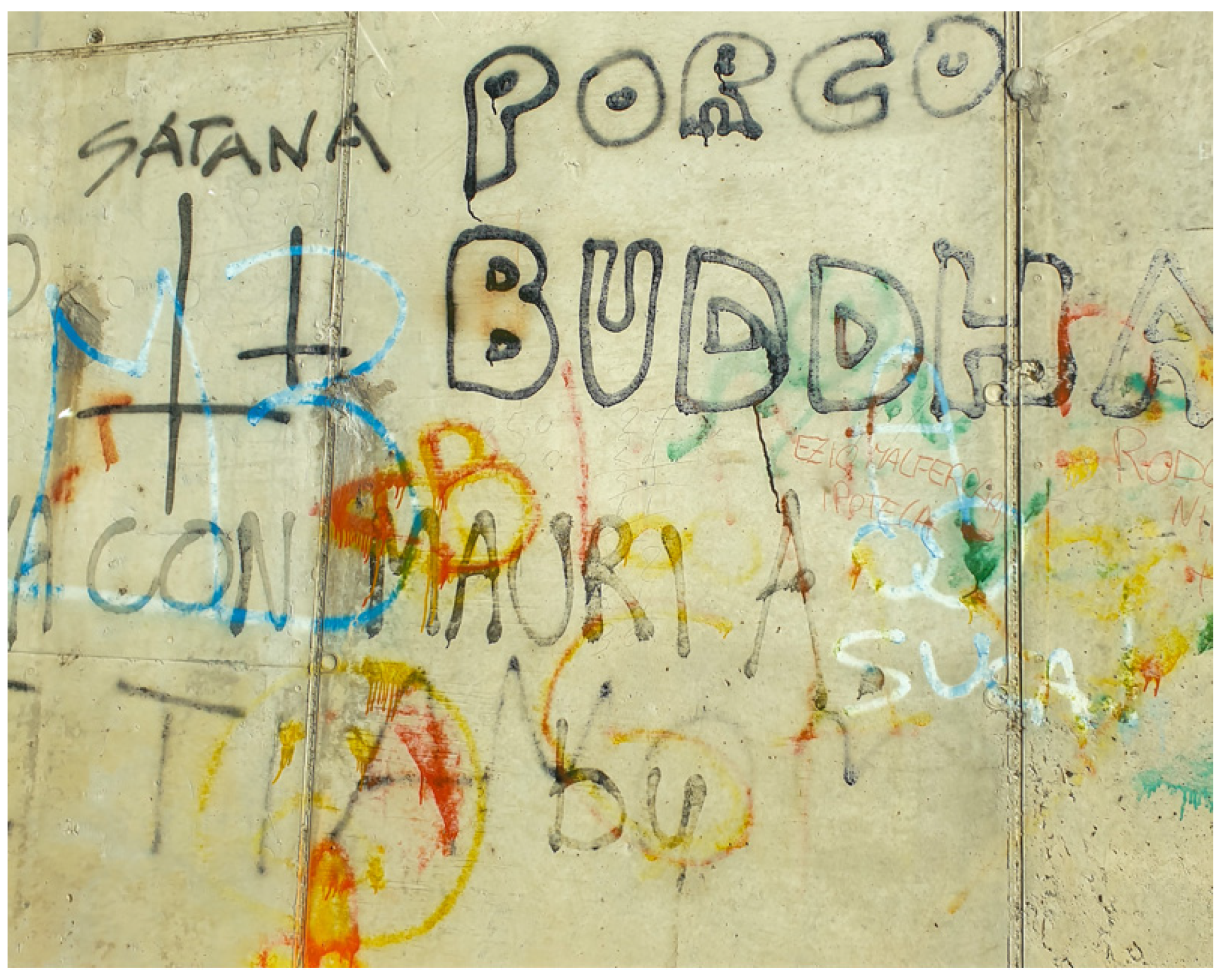 Societies 14 00212 g013