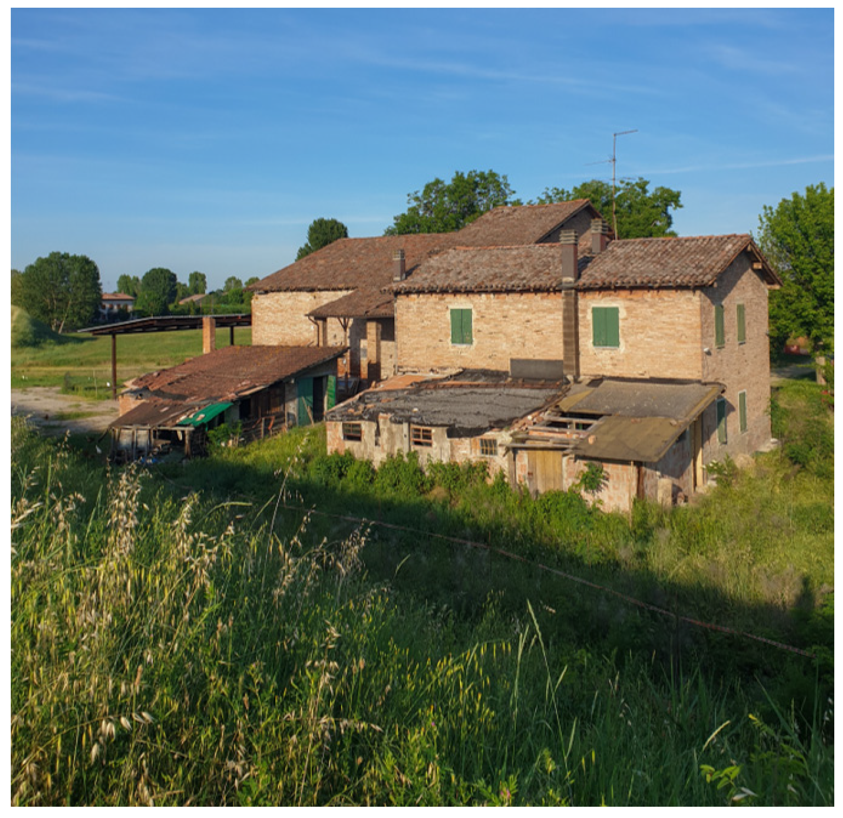 Societies 14 00212 g016