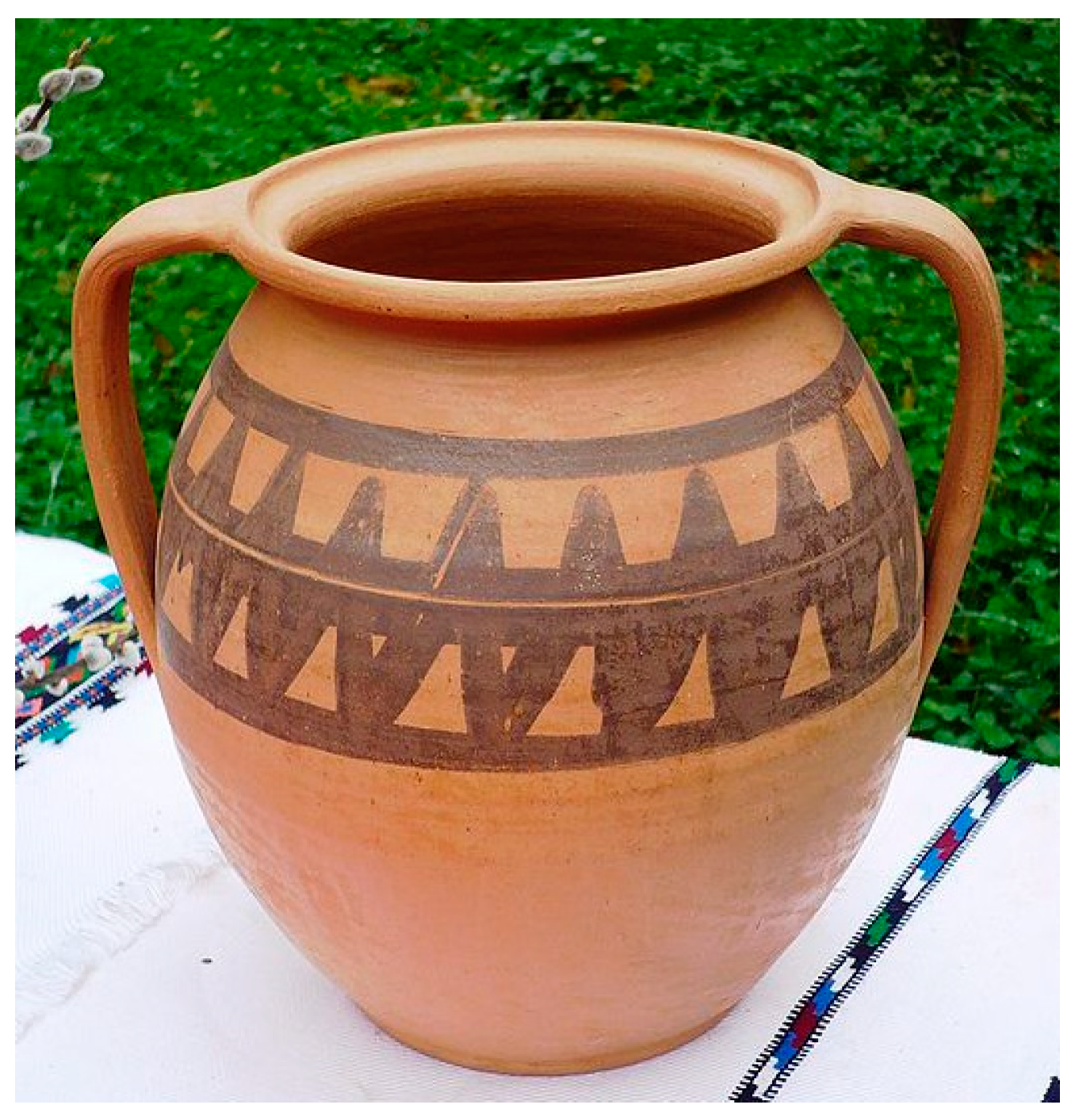 Societies 14 00225 g019