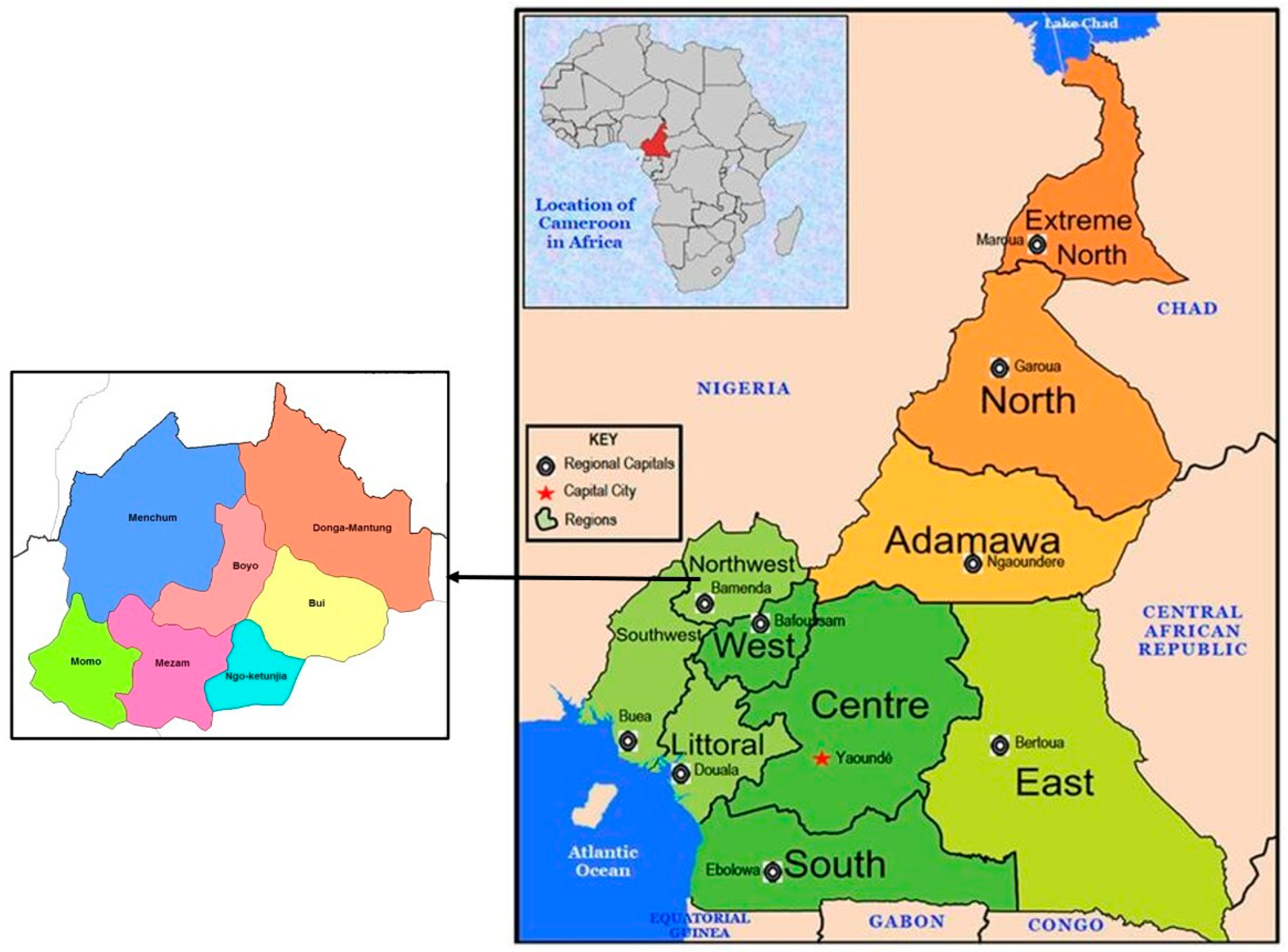 Societies 14 00239 g001