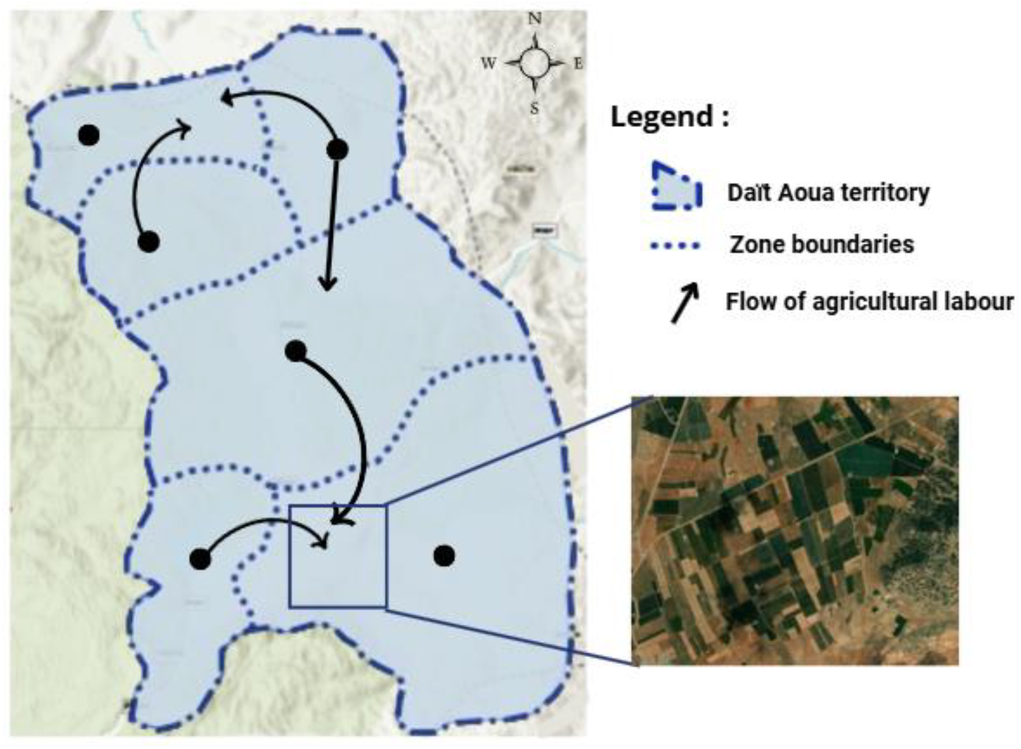 Societies 15 00004 g005