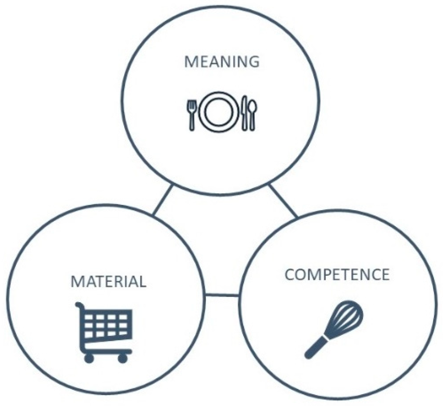 Societies 15 00055 g001