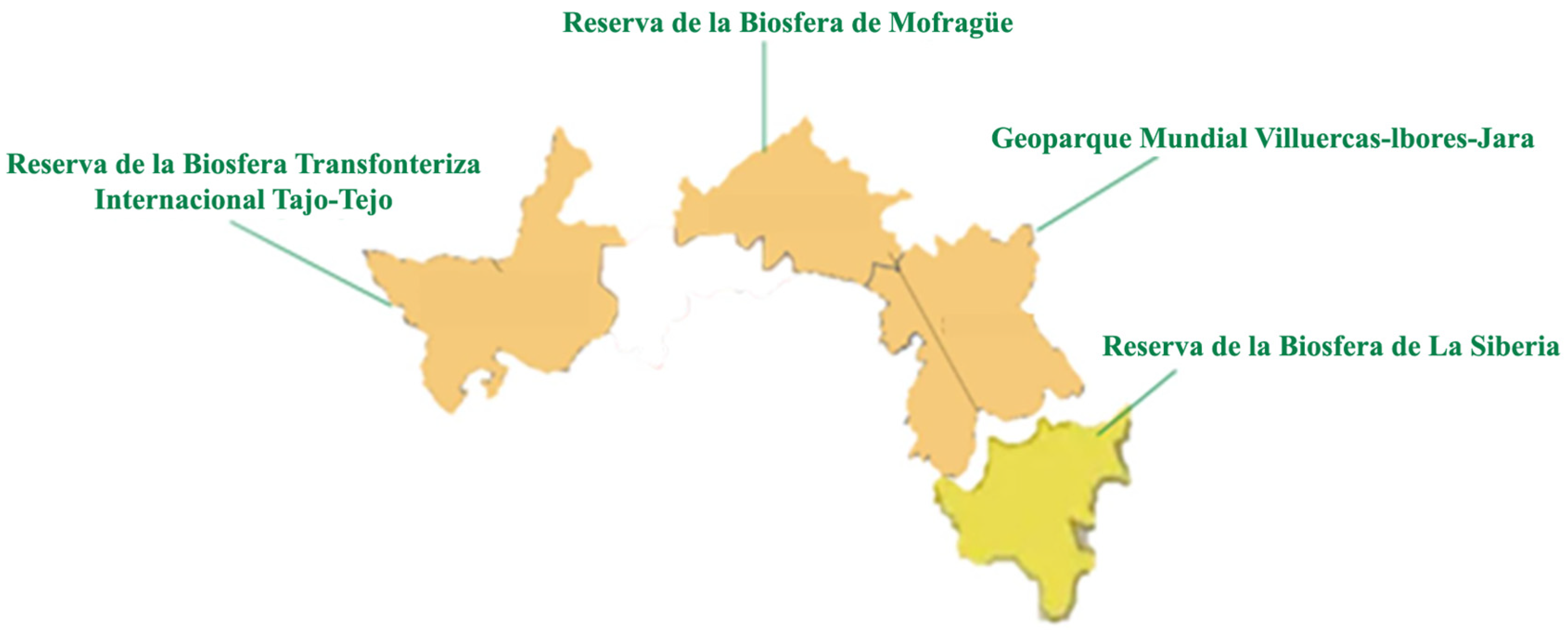 Societies 15 00152 g003