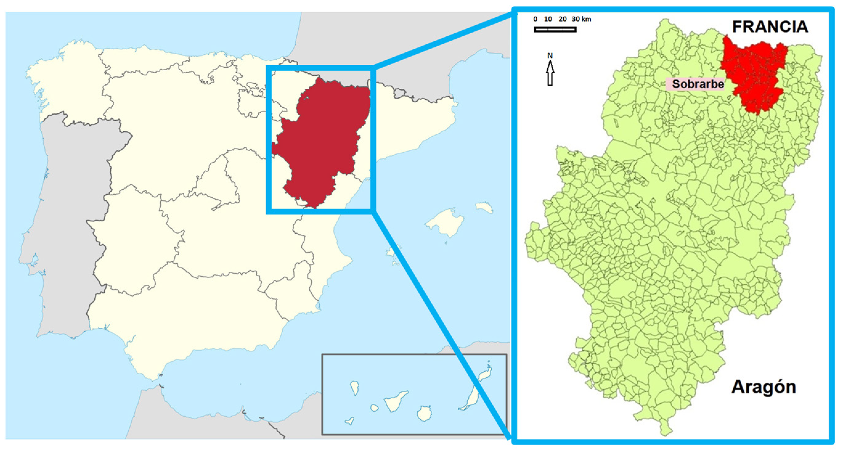 Societies 15 00196 g001