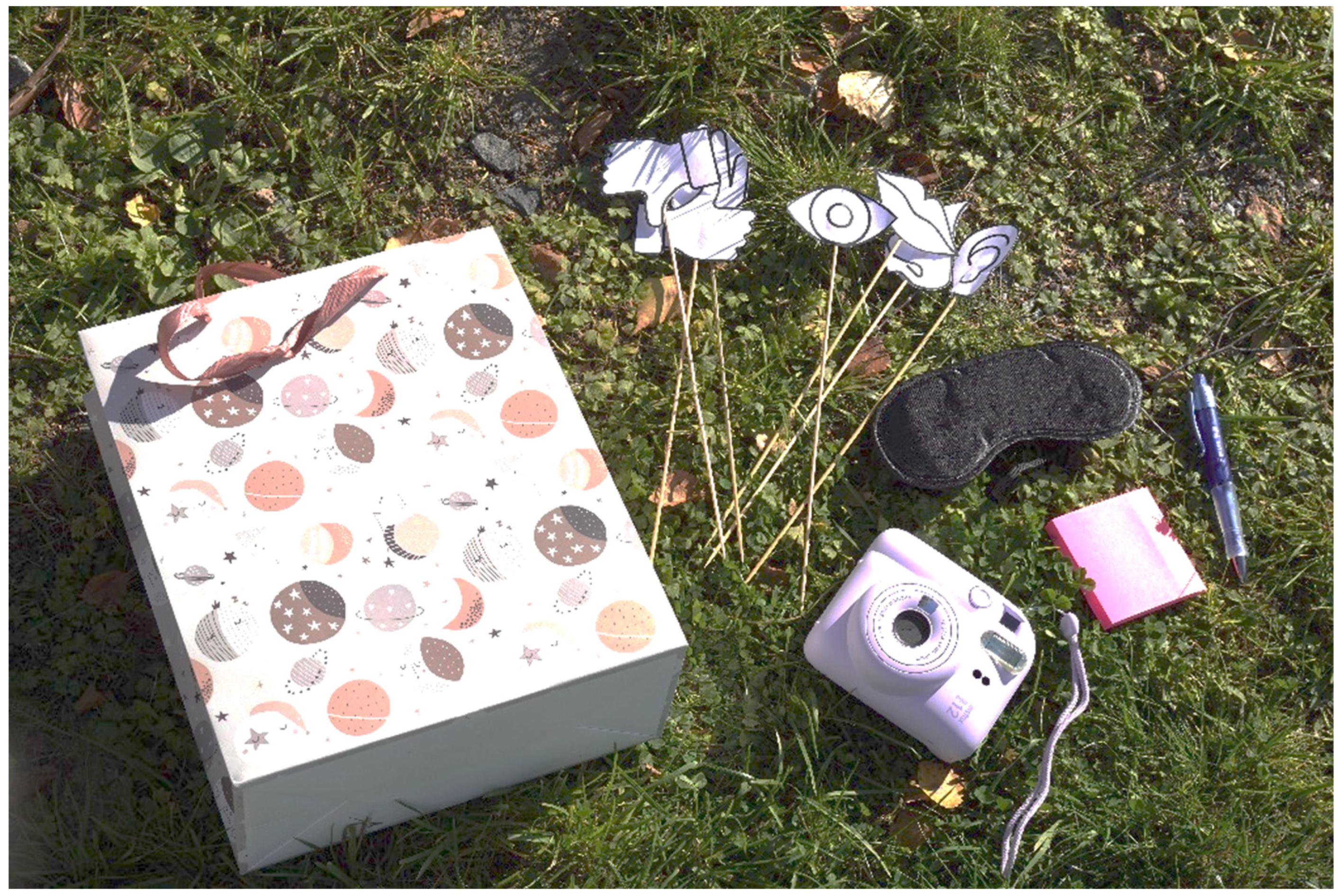 Societies 15 00219 g002