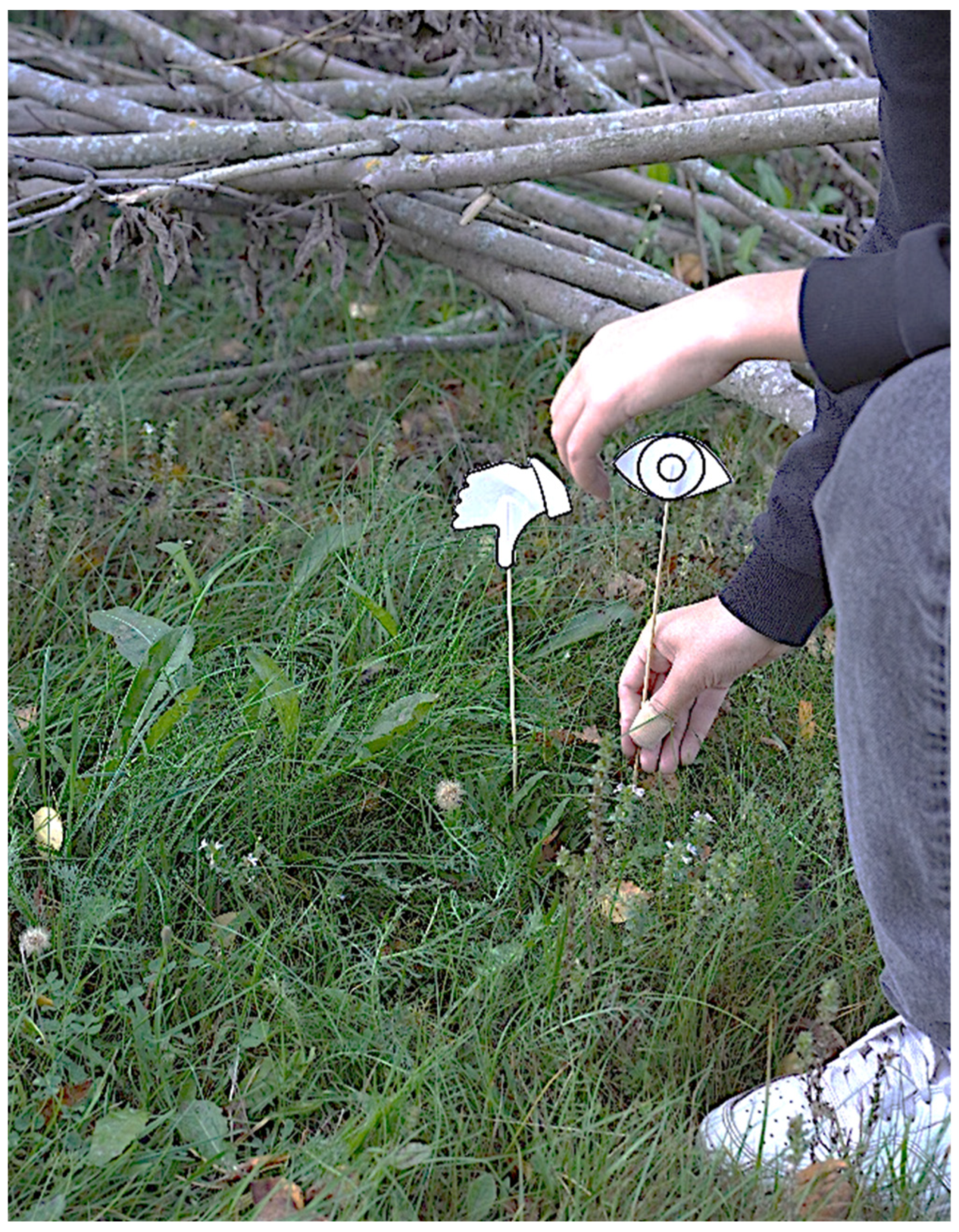 Societies 15 00219 g004