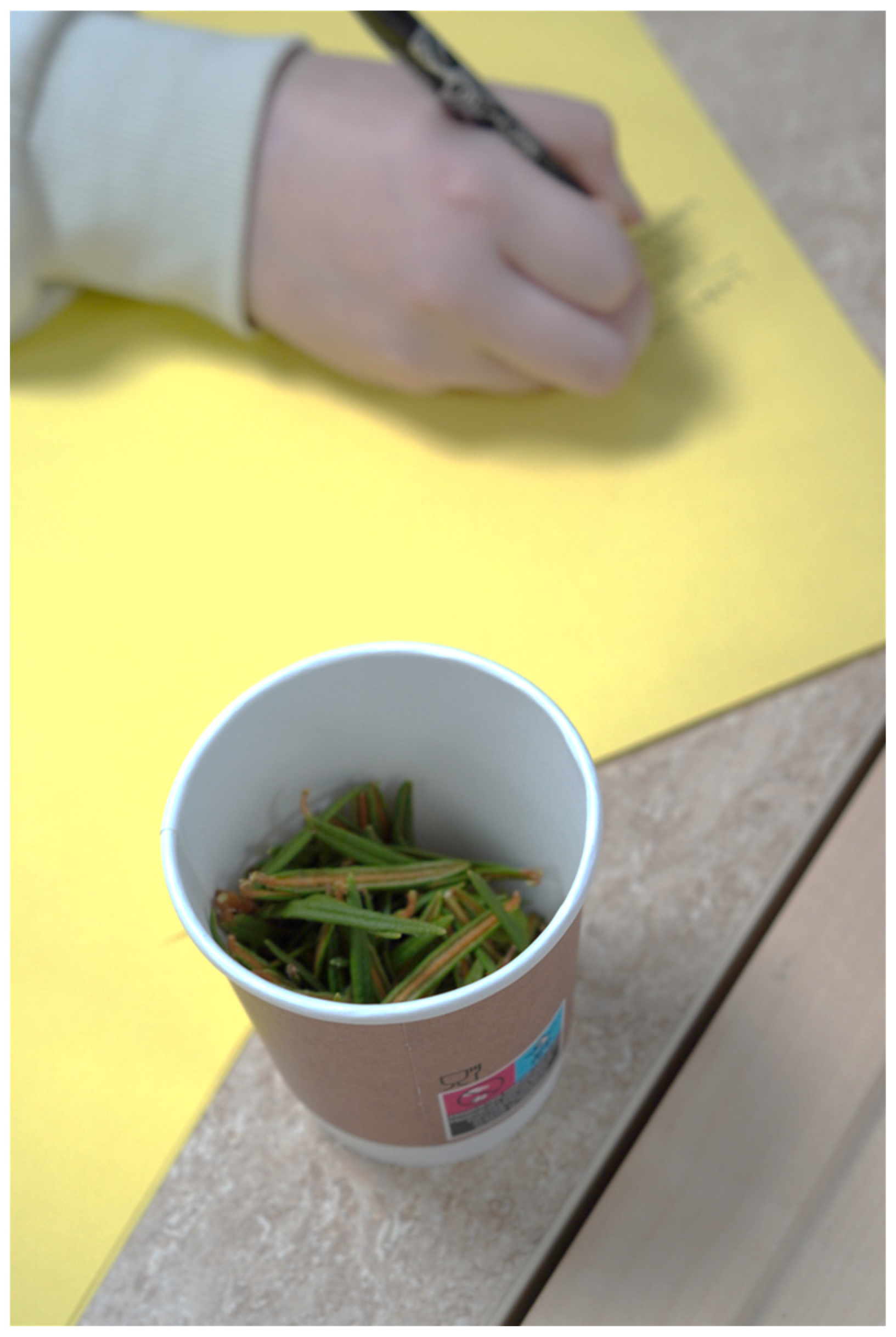 Societies 15 00219 g006