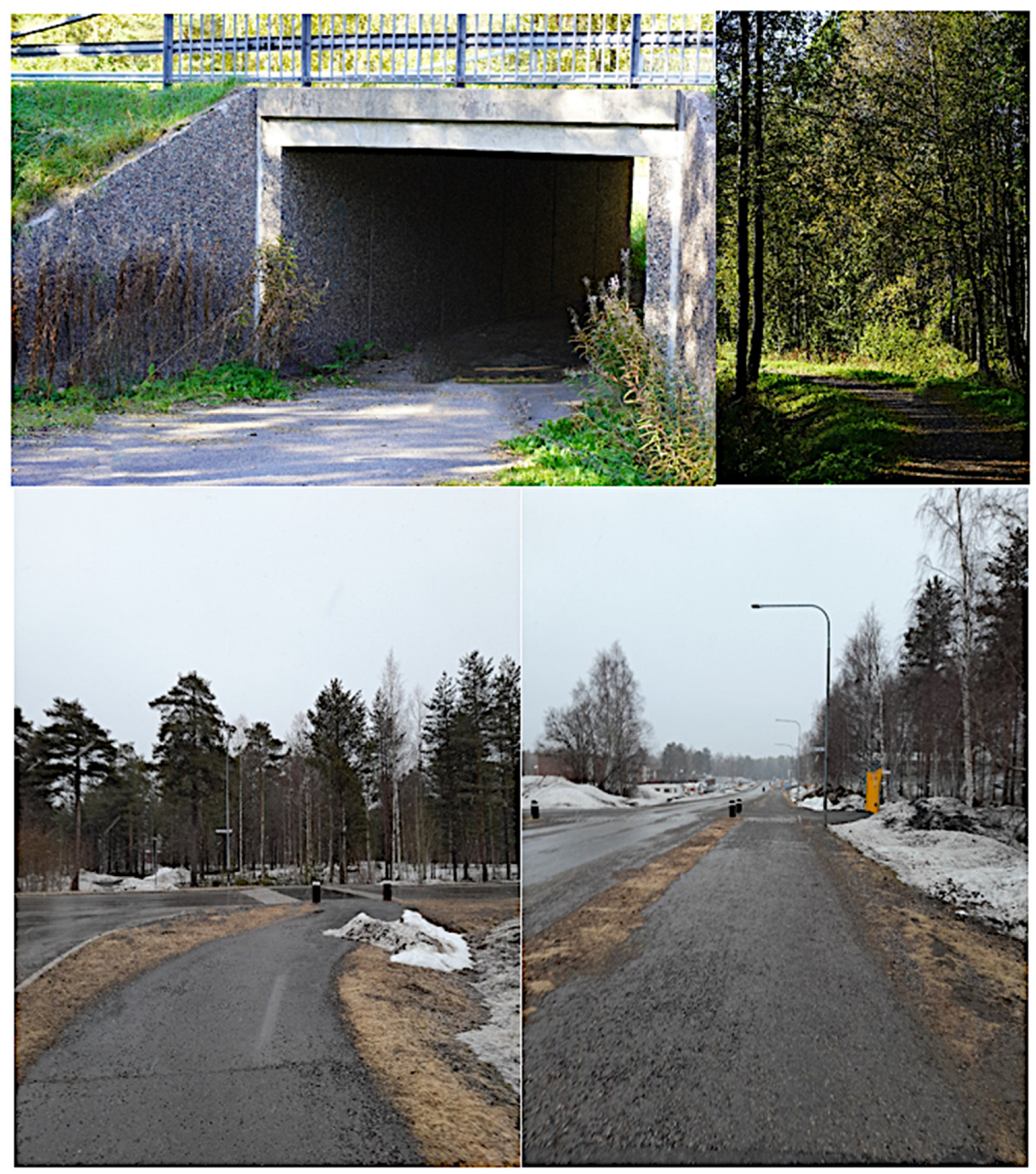 Societies 15 00219 g008