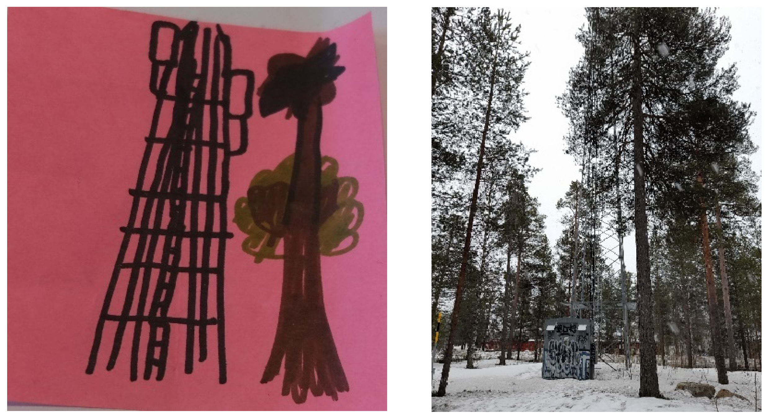 Societies 15 00219 g011