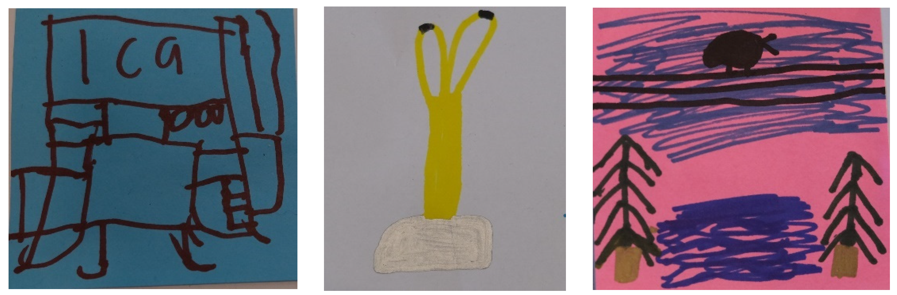 Societies 15 00219 g012