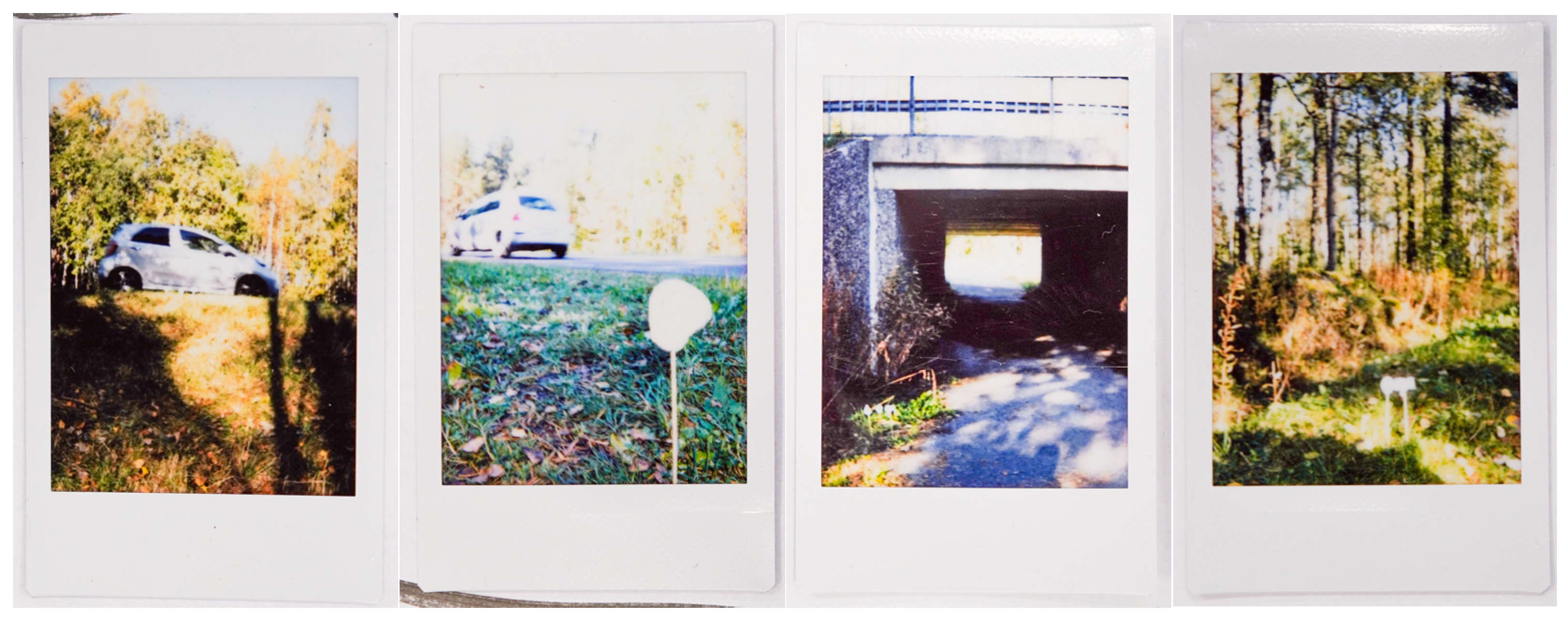 Societies 15 00219 g014