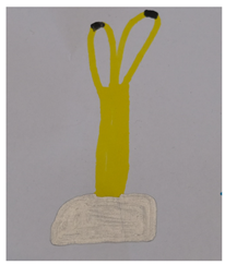 Societies 15 00219 i016