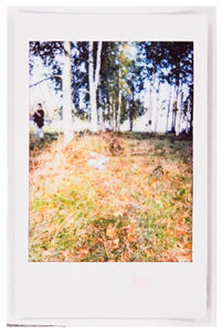 Societies 15 00219 i037