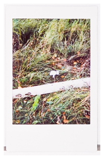 Societies 15 00219 i038