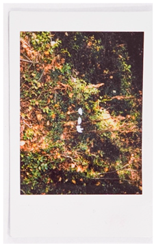 Societies 15 00219 i043