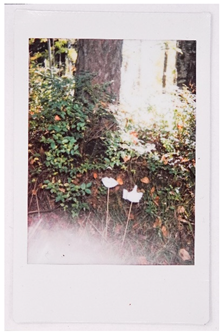 Societies 15 00219 i044