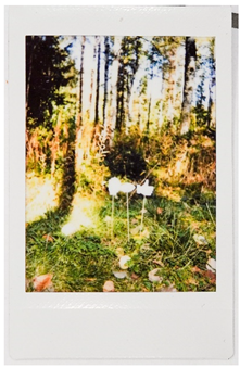 Societies 15 00219 i046