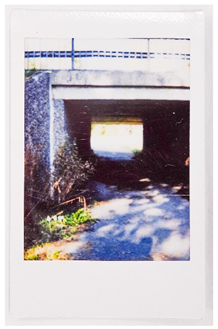 Societies 15 00219 i048