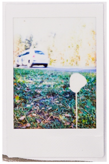 Societies 15 00219 i050