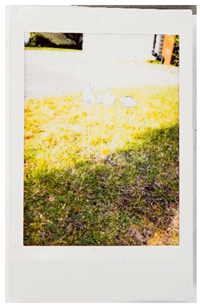 Societies 15 00219 i053