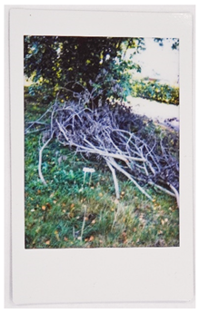 Societies 15 00219 i054