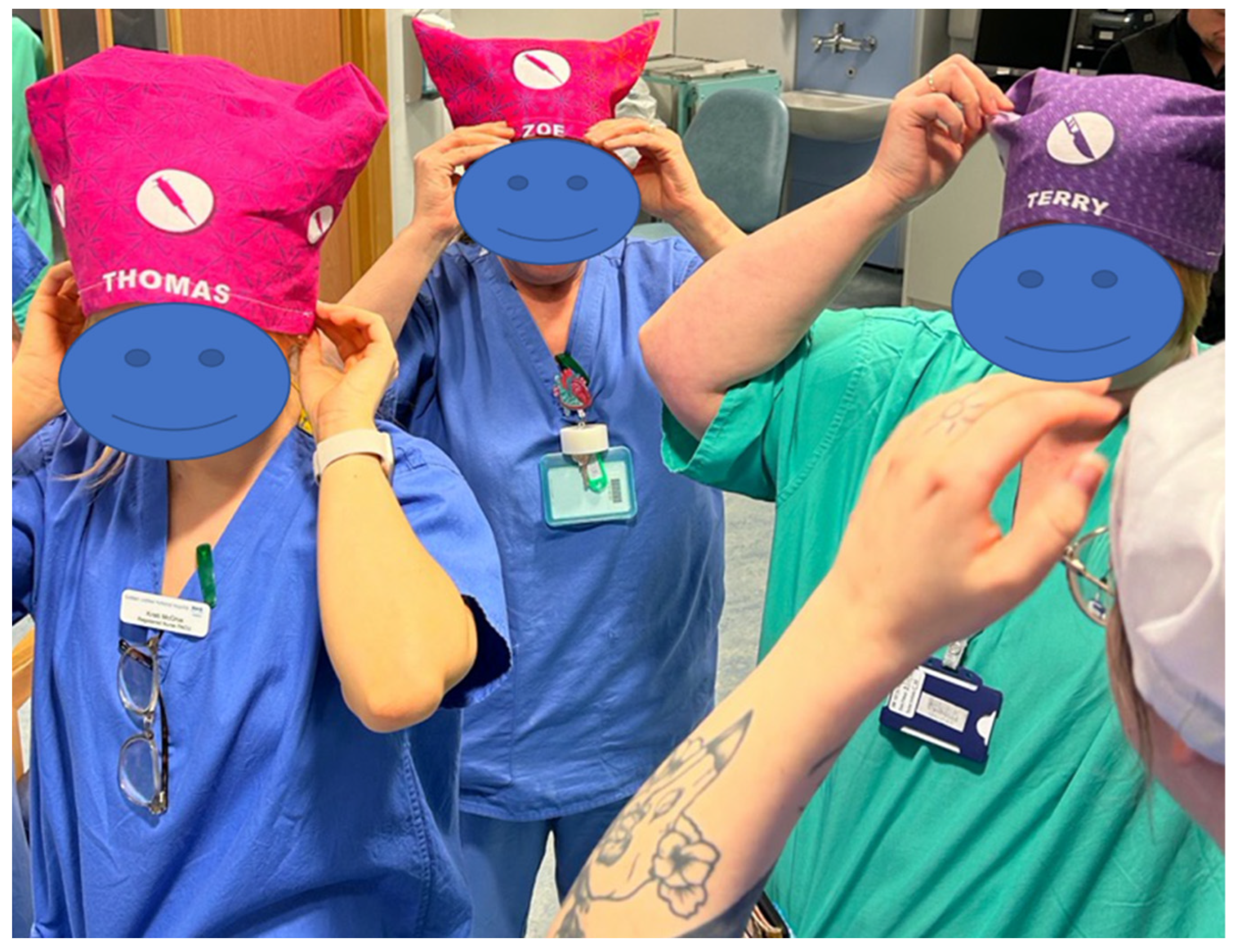 Societies 15 00222 g009