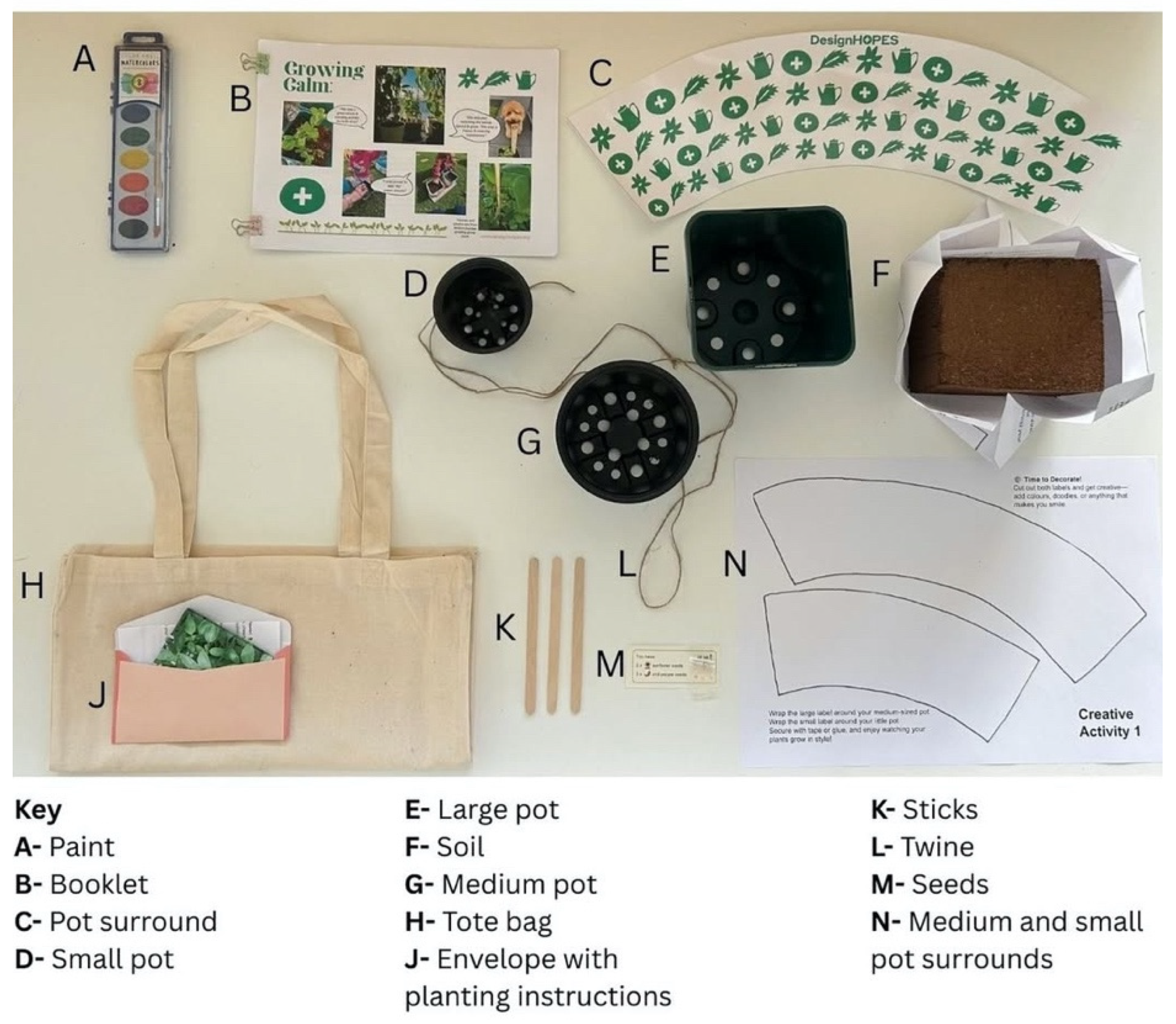 Societies 15 00222 g011