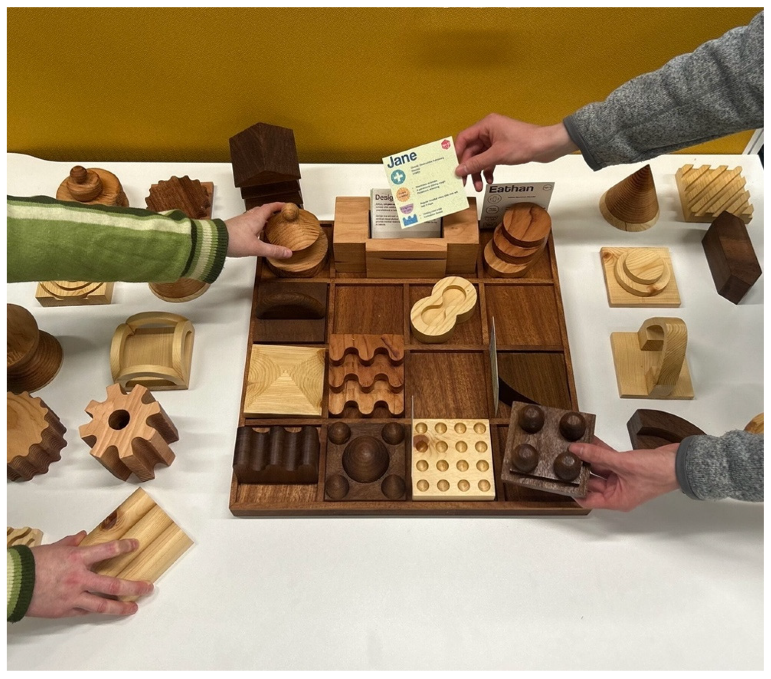 Societies 15 00222 g012