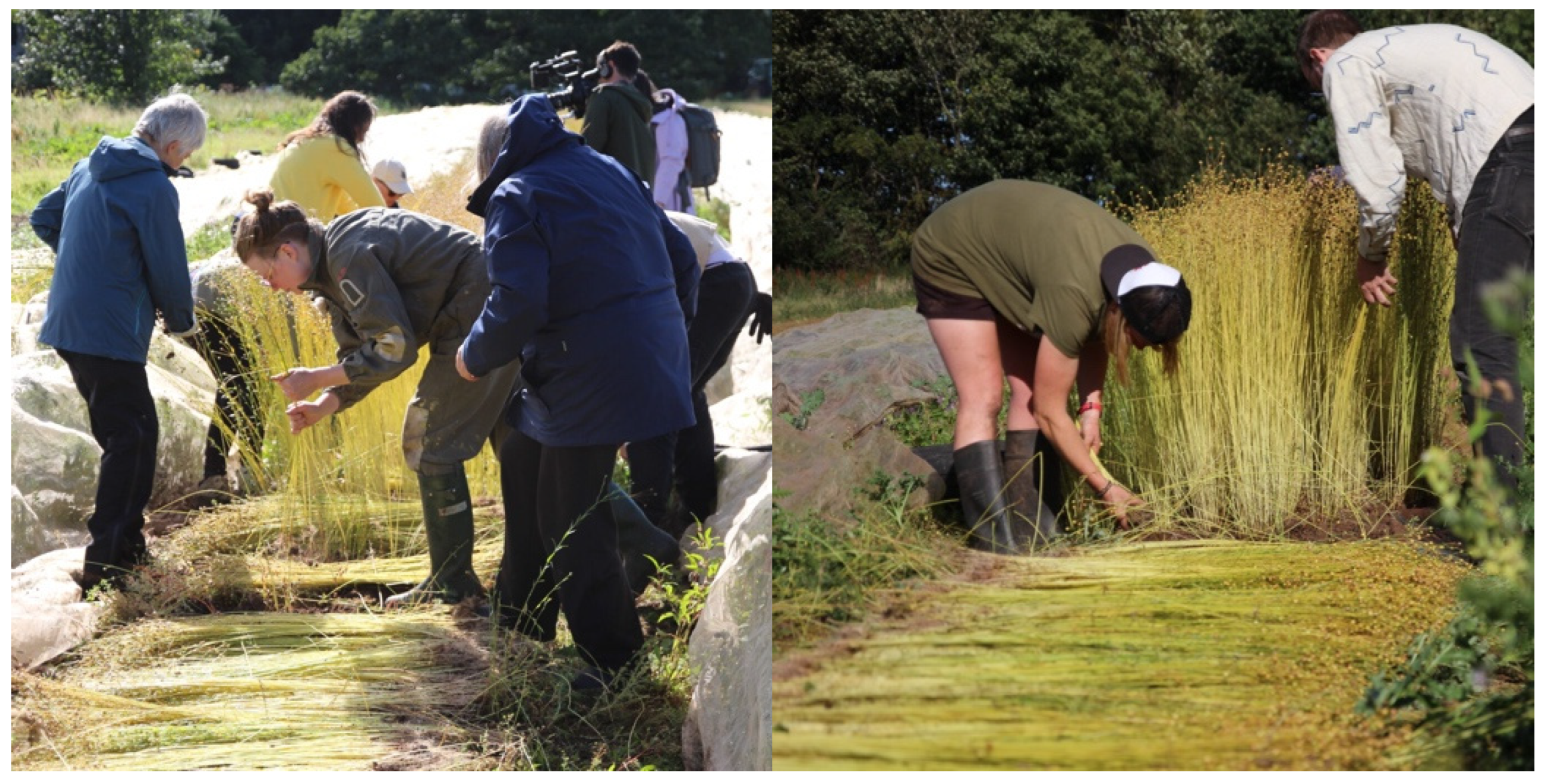 Societies 15 00222 g015