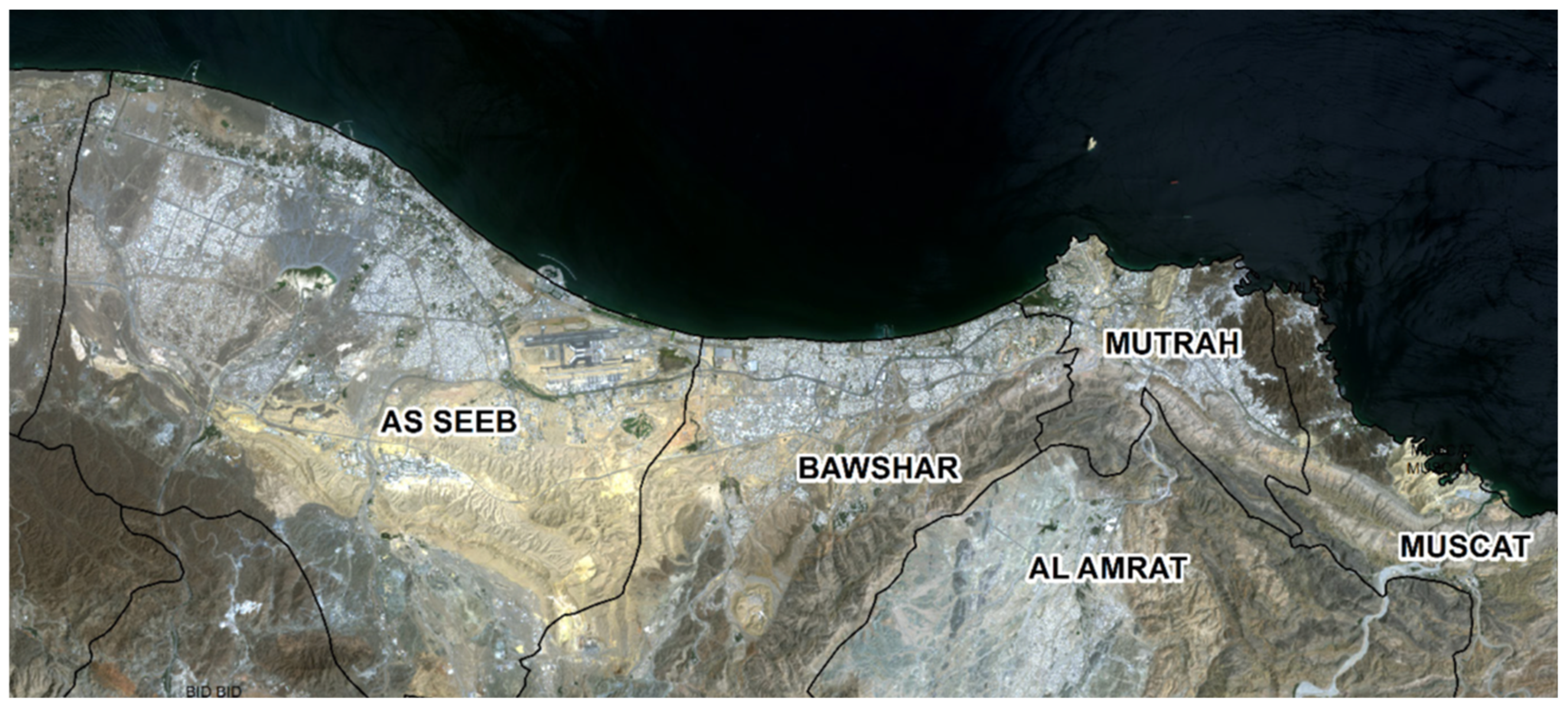 Societies 15 00250 g003 Societies 15 00250 g003