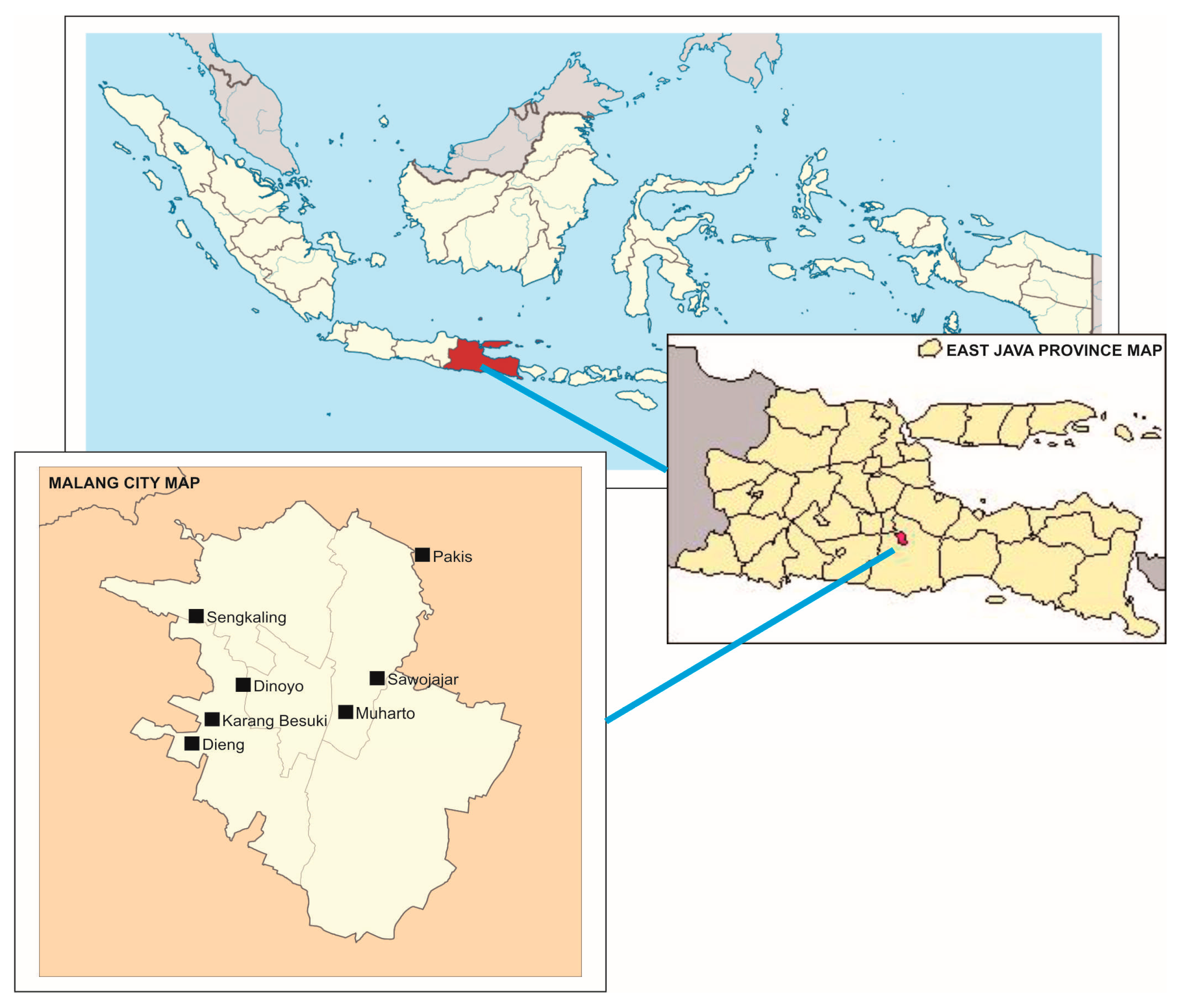 Societies 15 00317 g001