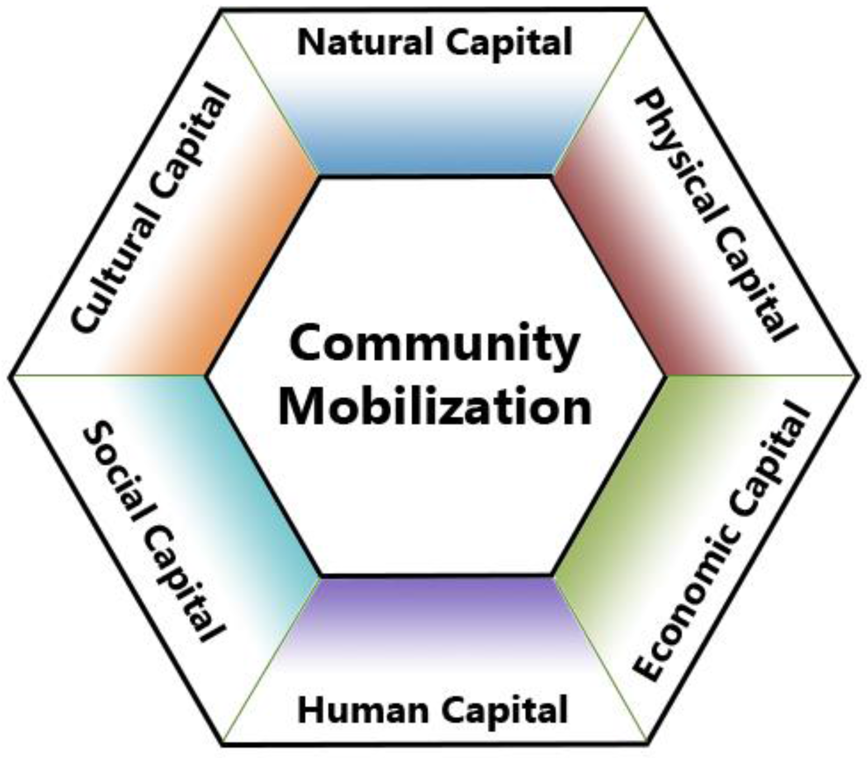 Socsci 05 00028 g001