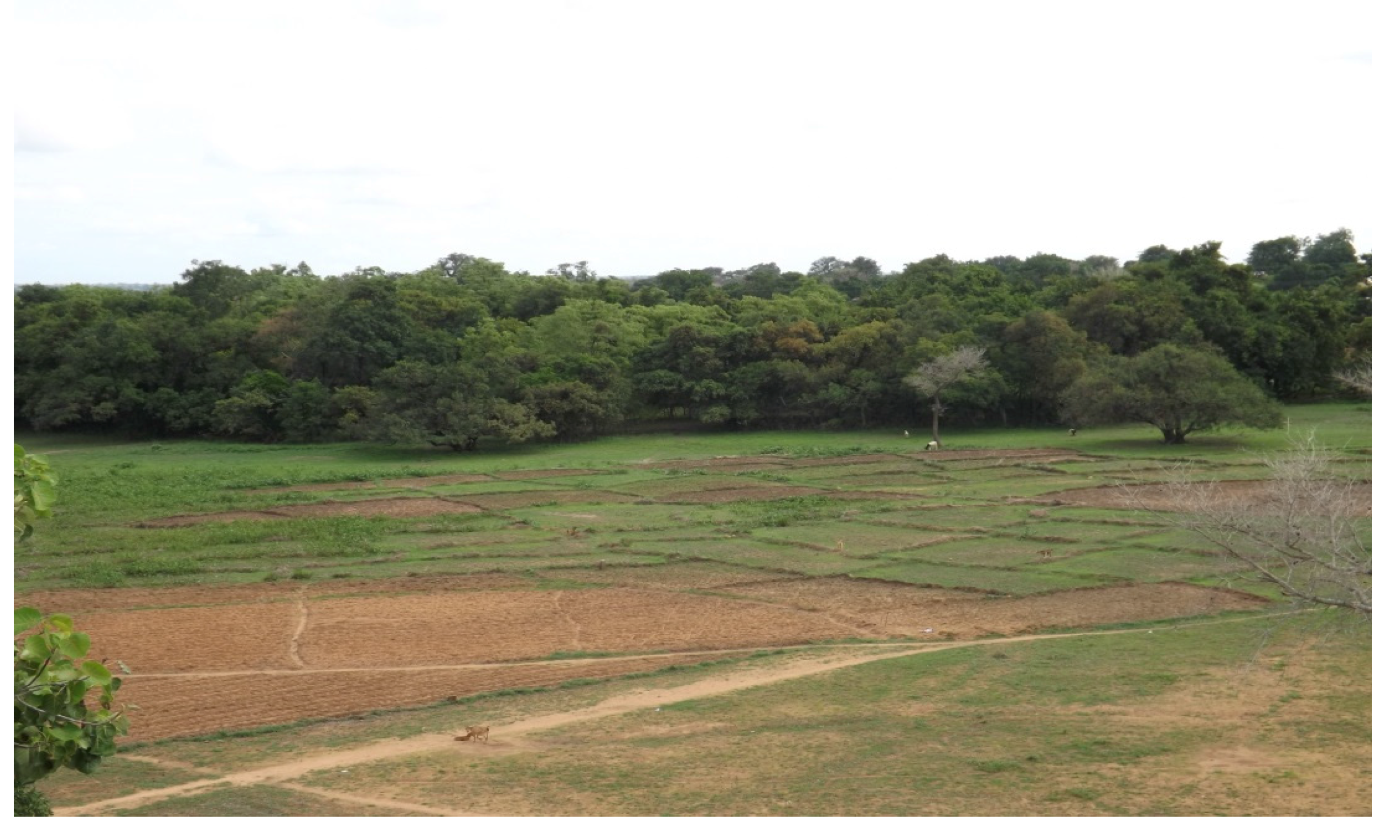 Socsci 06 00035 g002 550