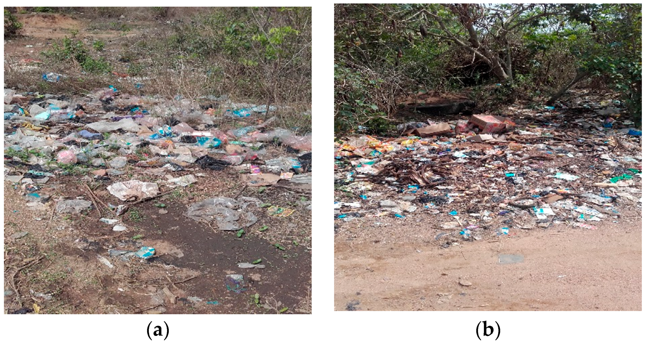 Socsci 07 00095 g003 550