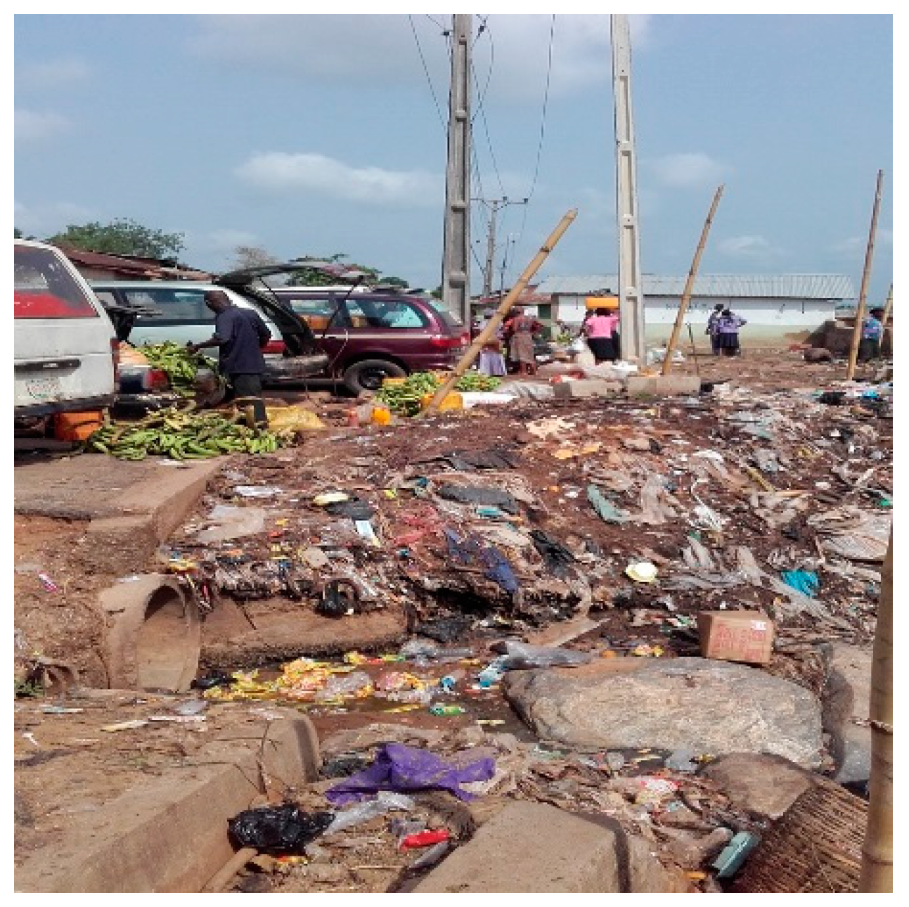 Socsci 07 00095 g004 550