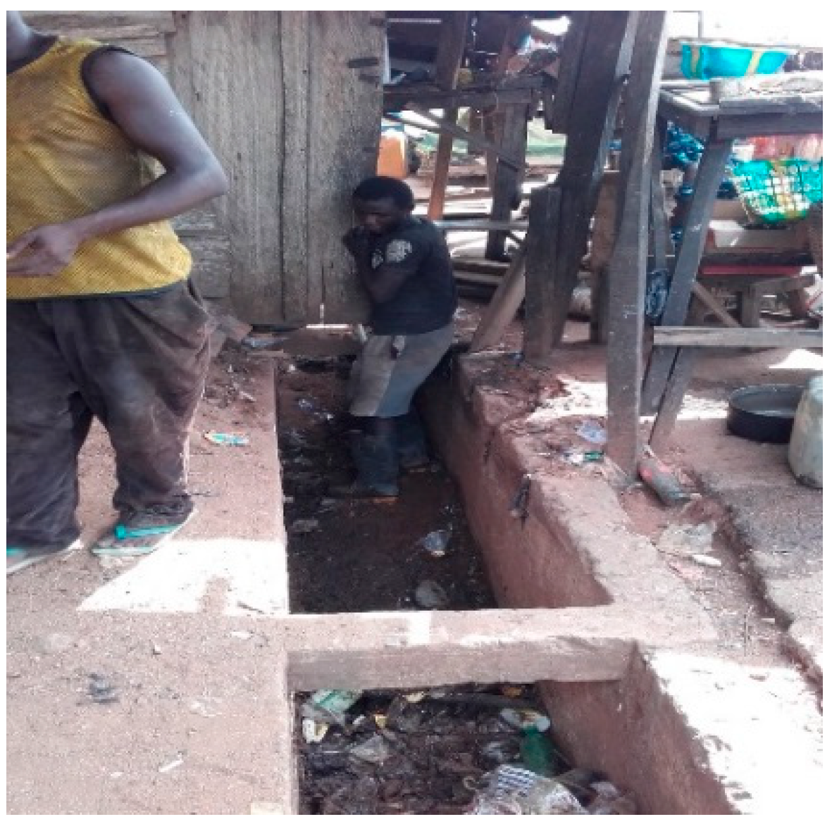 Socsci 07 00095 g007 550