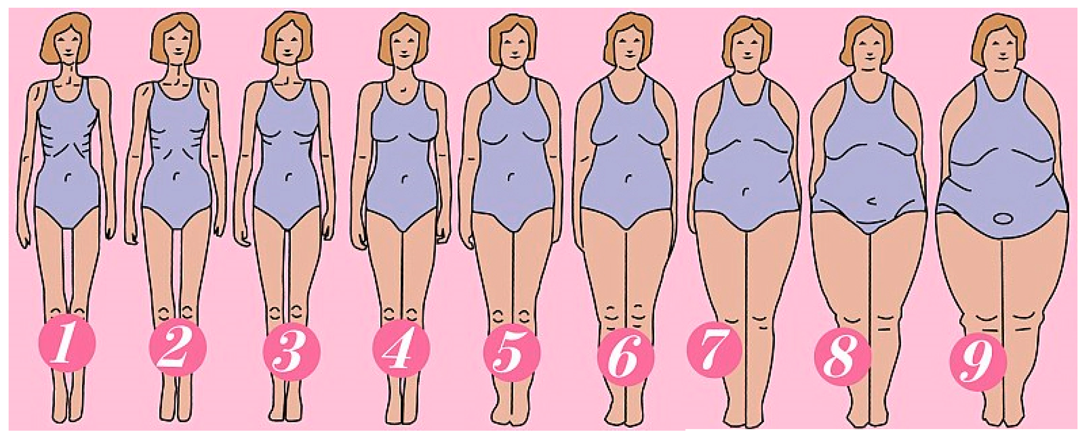1,345 Woman Different Body Sizes Silhouette Images, Stock Photos