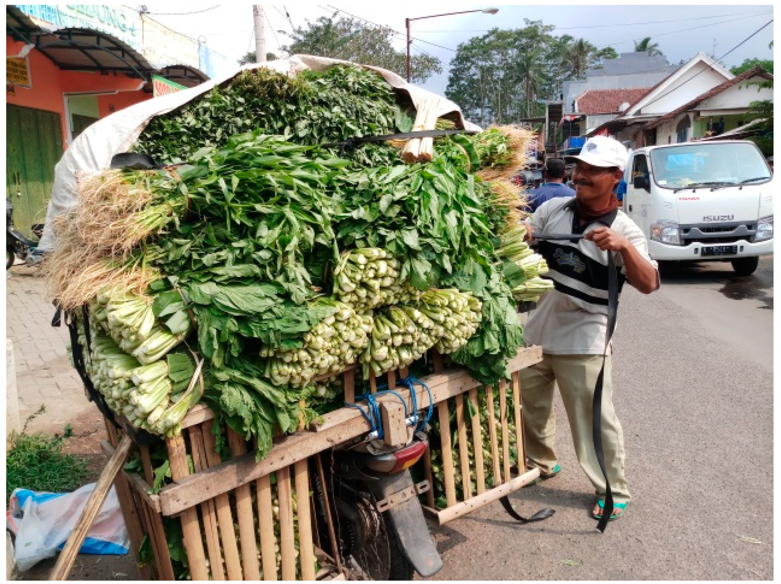 Socsci 07 00238 g003