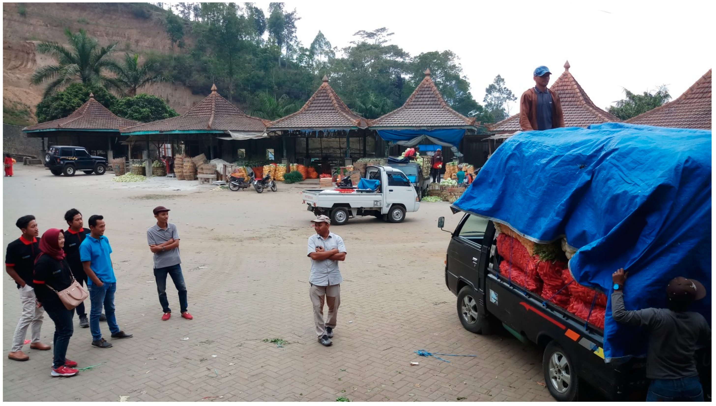 Socsci 07 00238 g004