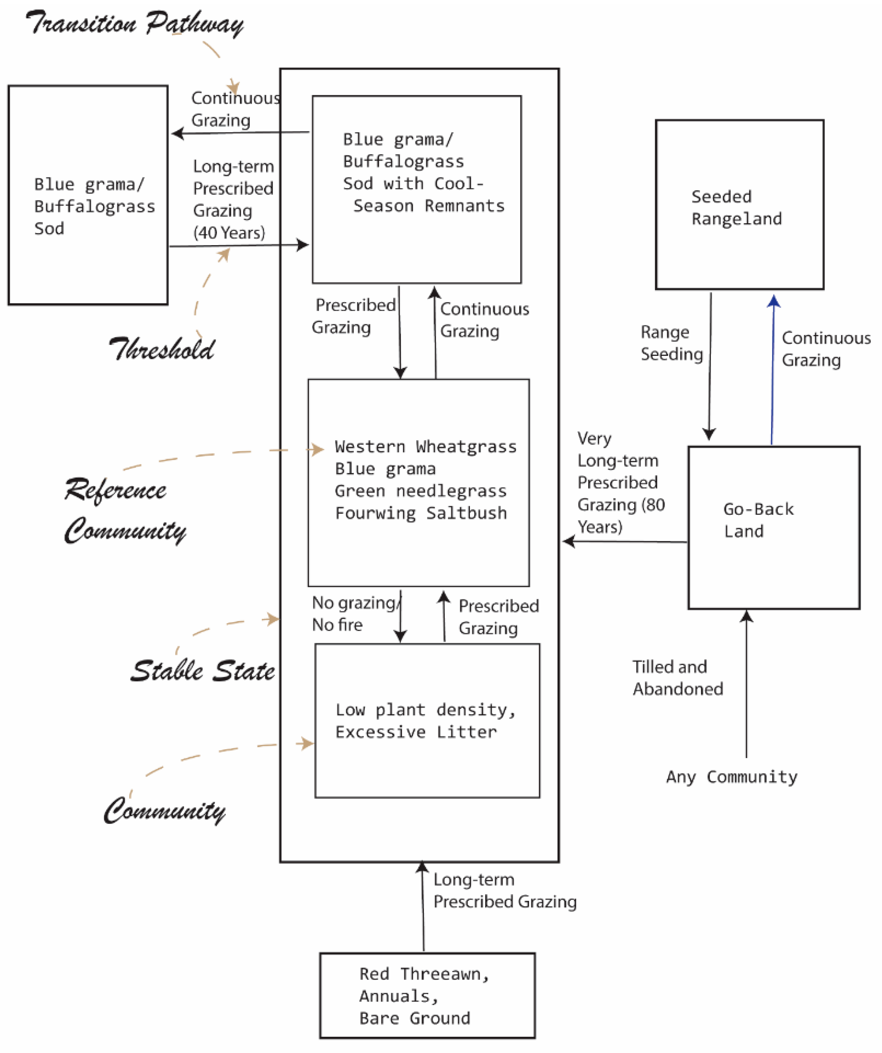 Socsci 08 00022 g004