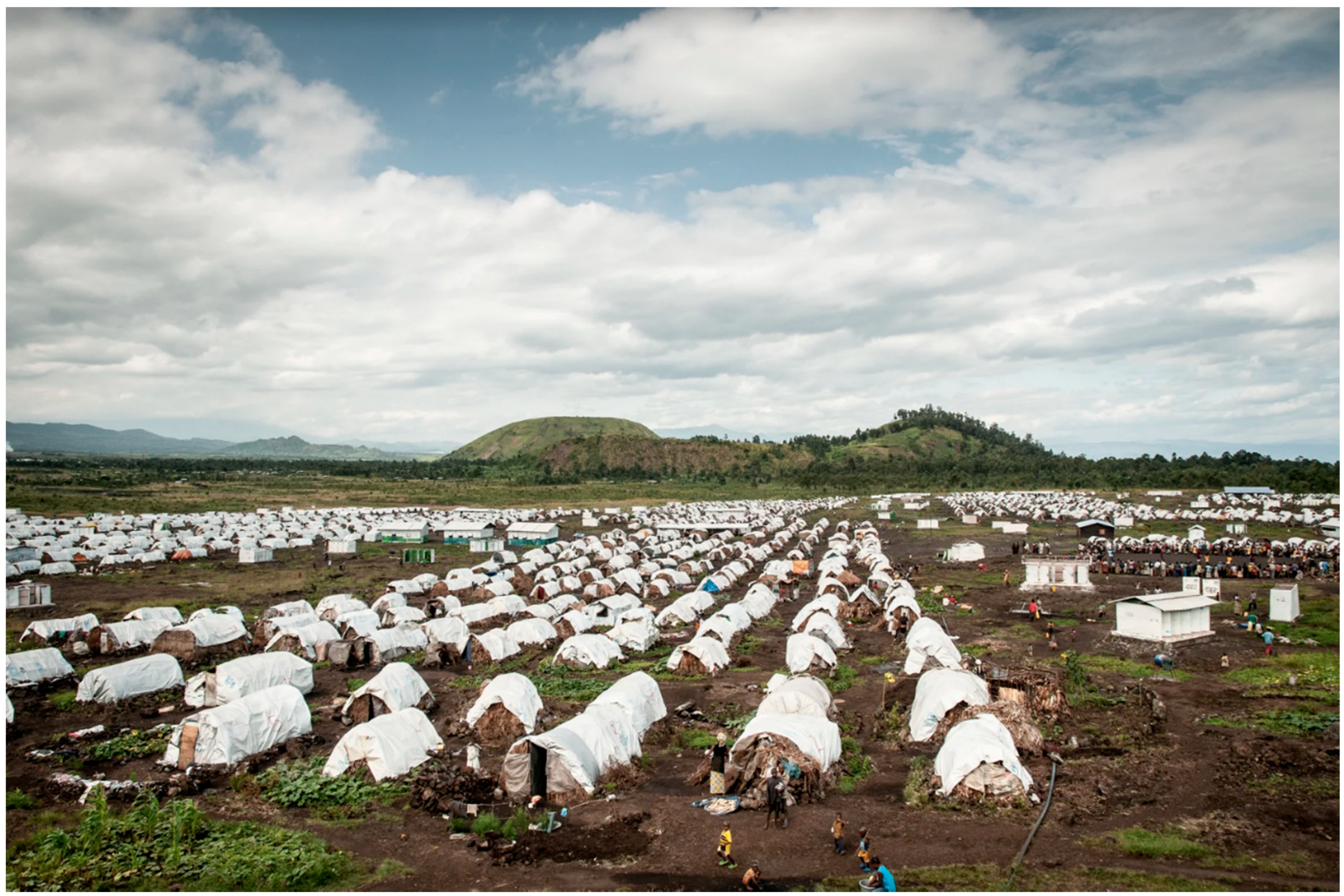 Socsci 08 00073 g003 550