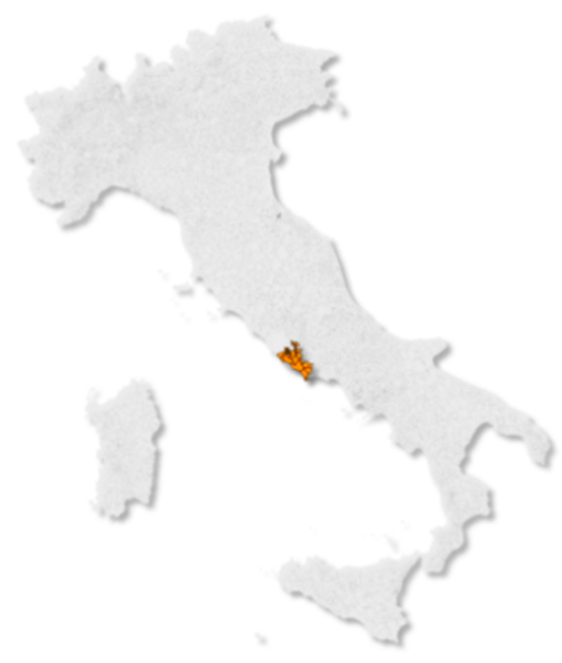 Socsci 08 00091 g001