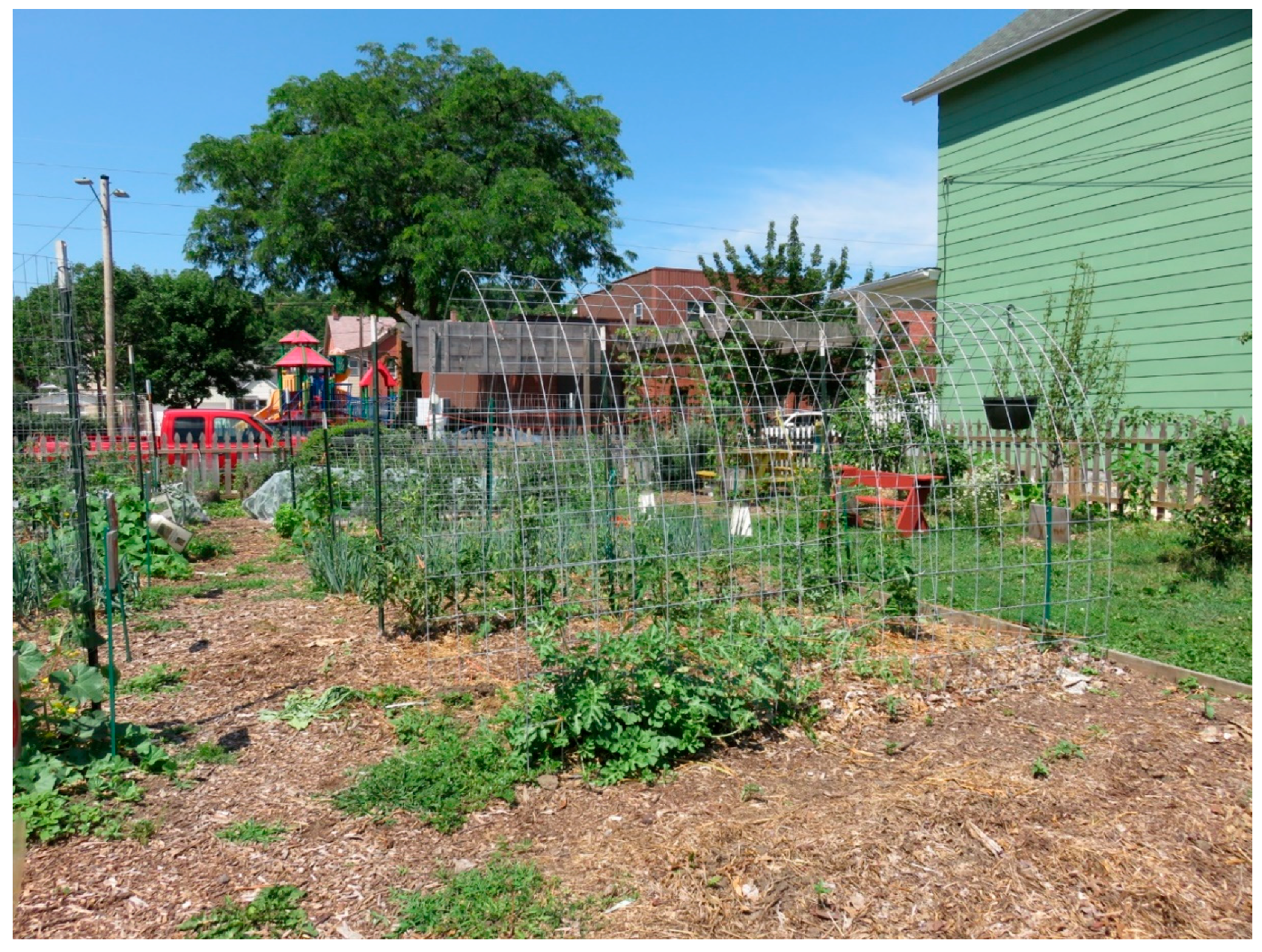 Socsci 08 00122 g002