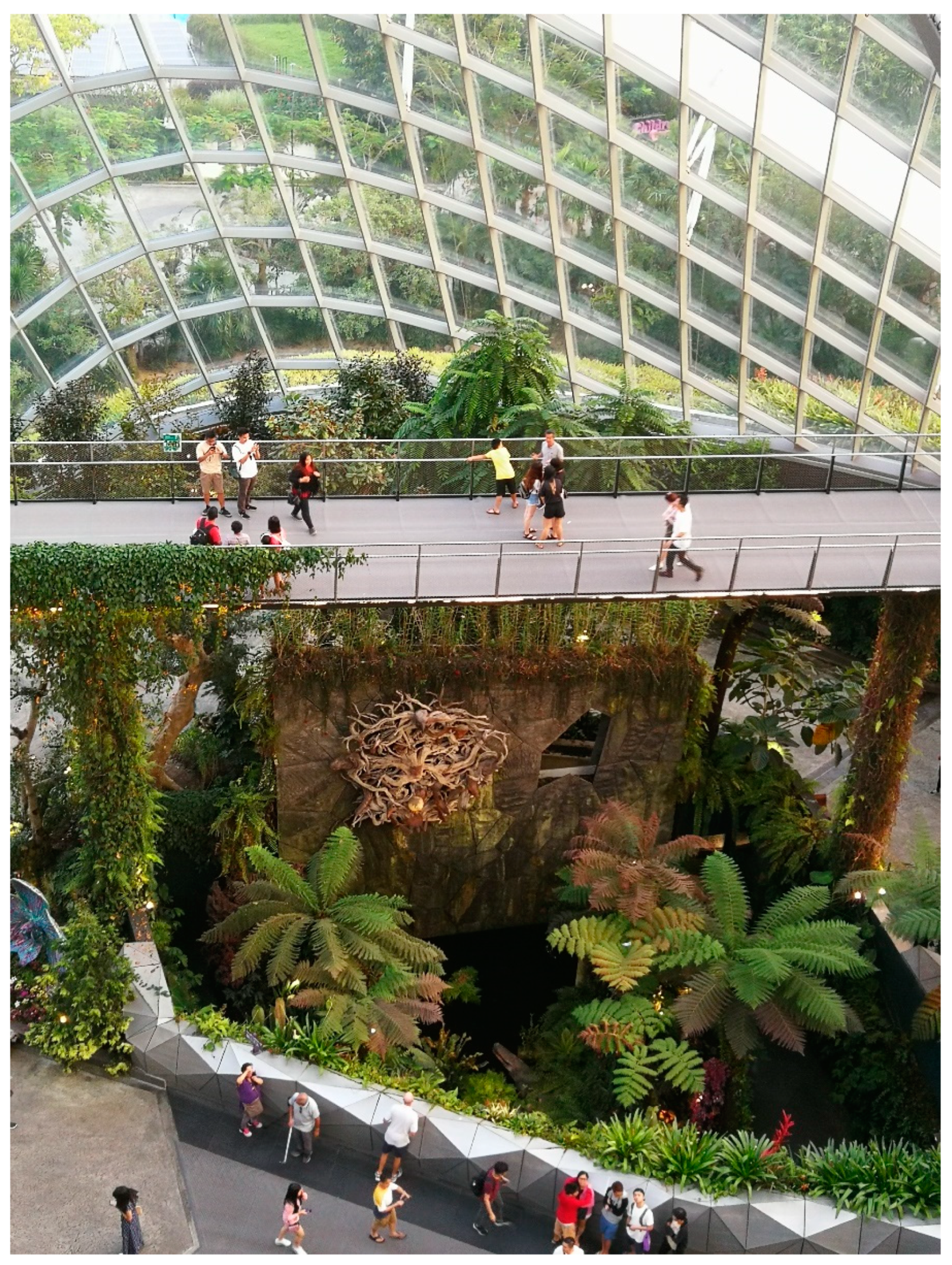 Socsci 08 00182 g007