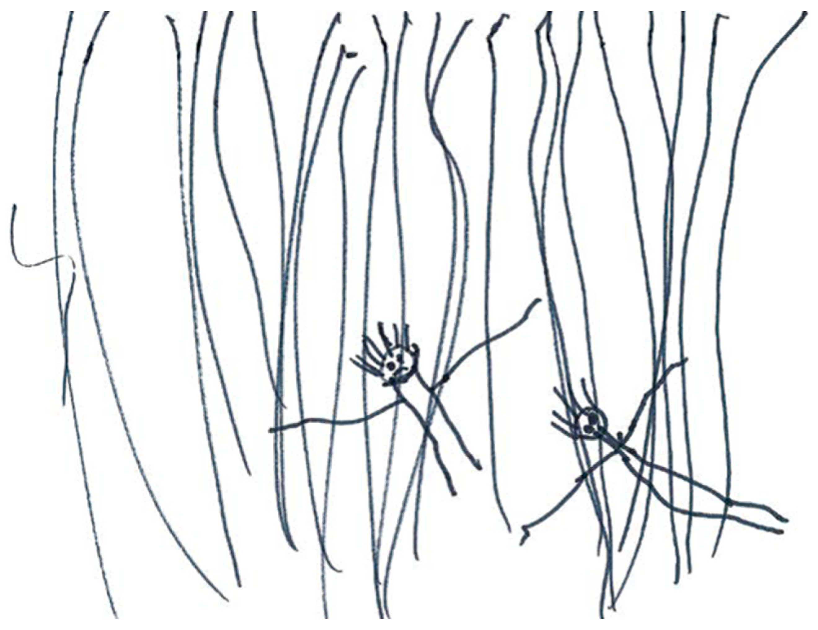 Socsci 09 00005 g002